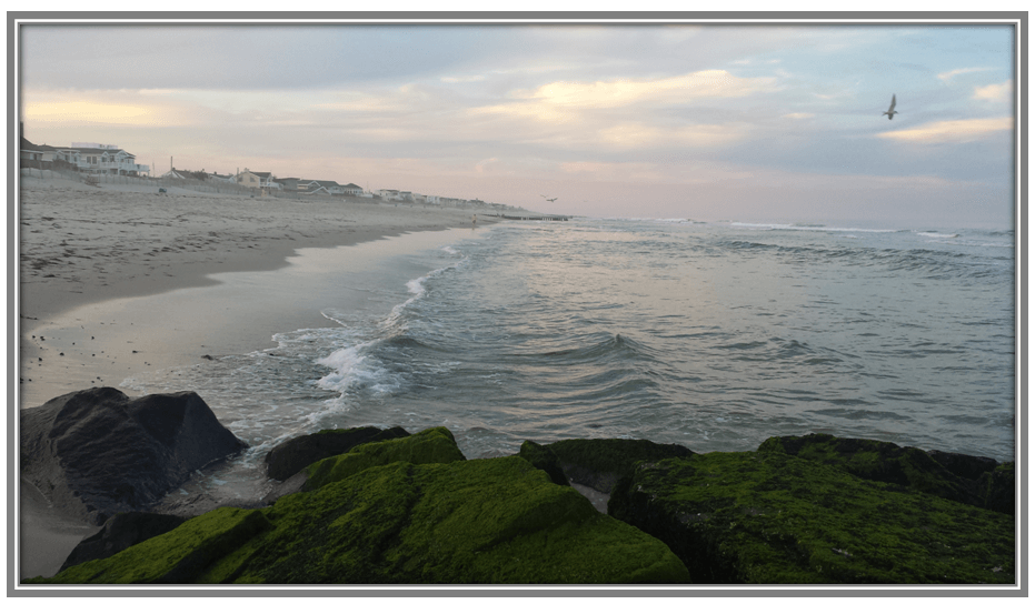 Buyers Long Beach Island NJ Real Estate | LBI Real Estate Market Buyer | Long Beach Island New Jersey